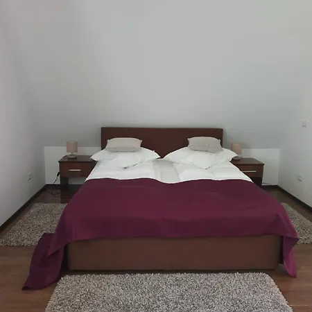 Casa Altfel Guest house Malaia